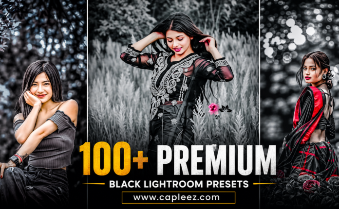 lightroom presets